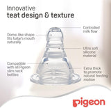Pigeon Slim Neck Bottle 120ml Anm 415