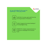 Gastrozak Oral Solution 10Ml Sticks 30S