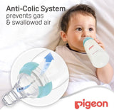 Pigeon Standard Neck Bottle 240ml