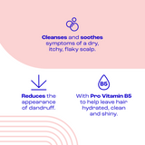 E45 Dry Scalp Shampoo 200Ml
