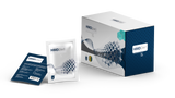 FORTE HMD 2IN1 DETOX SACHET 4G 60S