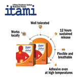Itami Pain Patches 10s