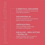 Beesline Adaptogen Barrier Cream 50ml