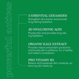 Beesline Everyone Barrier Cream 50ml