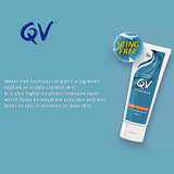 Qv Intensive Body Moisturiser 100gm