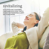 Now Eucalyptus Oil 30ml