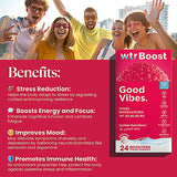 Wtr Boost Good Vibes Lychee Eff 24s