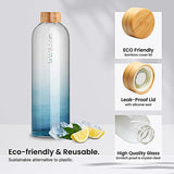 Wtr Boost Save The Ocean Glass Bottle 600Ml