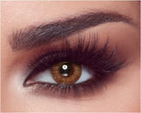 Bella One Day Almond Brown Lenses 10'S
